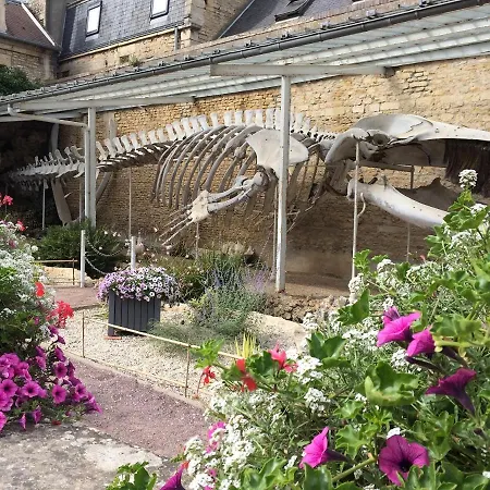 Maison,appartement De Charme Bord De - Avec Jardin Et Wifi *