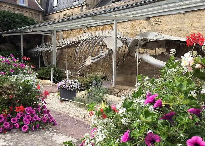 Maison,appartement De Charme Bord De - Avec Jardin Et Wifi *